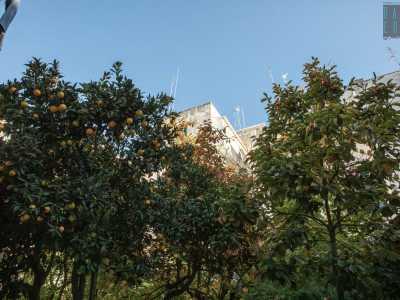 Ci ritroviamo in un luogo che non pare essere situato a Bari citt�